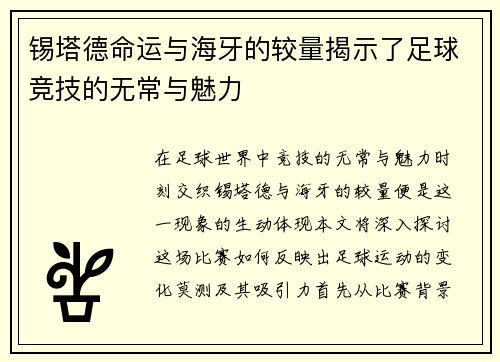 锡塔德命运与海牙的较量揭示了足球竞技的无常与魅力