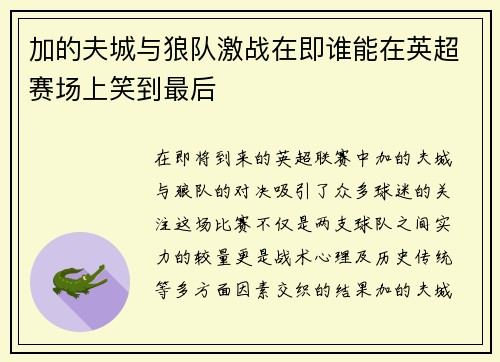 加的夫城与狼队激战在即谁能在英超赛场上笑到最后