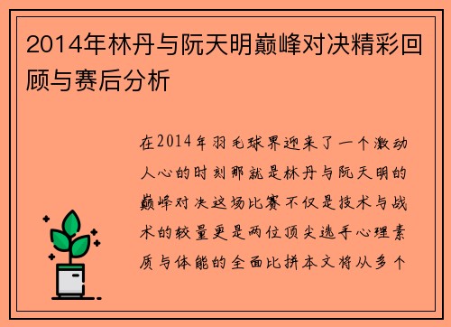 2014年林丹与阮天明巅峰对决精彩回顾与赛后分析
