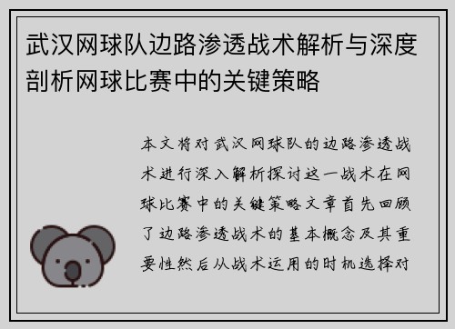 武汉网球队边路渗透战术解析与深度剖析网球比赛中的关键策略