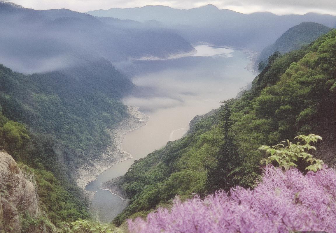 联赛席位费制度改革：现有战队可申请“弹性合作”协议